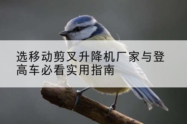 磴口电动升降机厂家-选移动剪叉升降机厂家与登高车必看实用指南