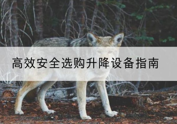 磴口升降货梯厂家推荐-*安全选购升降设备指南