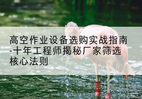 磴口剪叉式升降机厂家-高空作业设备选购实战指南-十年工程师揭秘厂家筛选核心法则