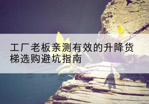 磴口升降货梯怎么选-工厂老板亲测有效的升降货梯选购避坑指南